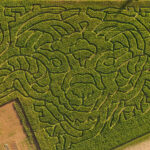 Rupertswood Farm crop maze