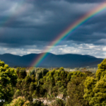 Sleeping Beauty Rainbow