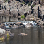 First Basin waterfall at Cataract Gorge