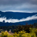 Clouds descending into the Huon Valley